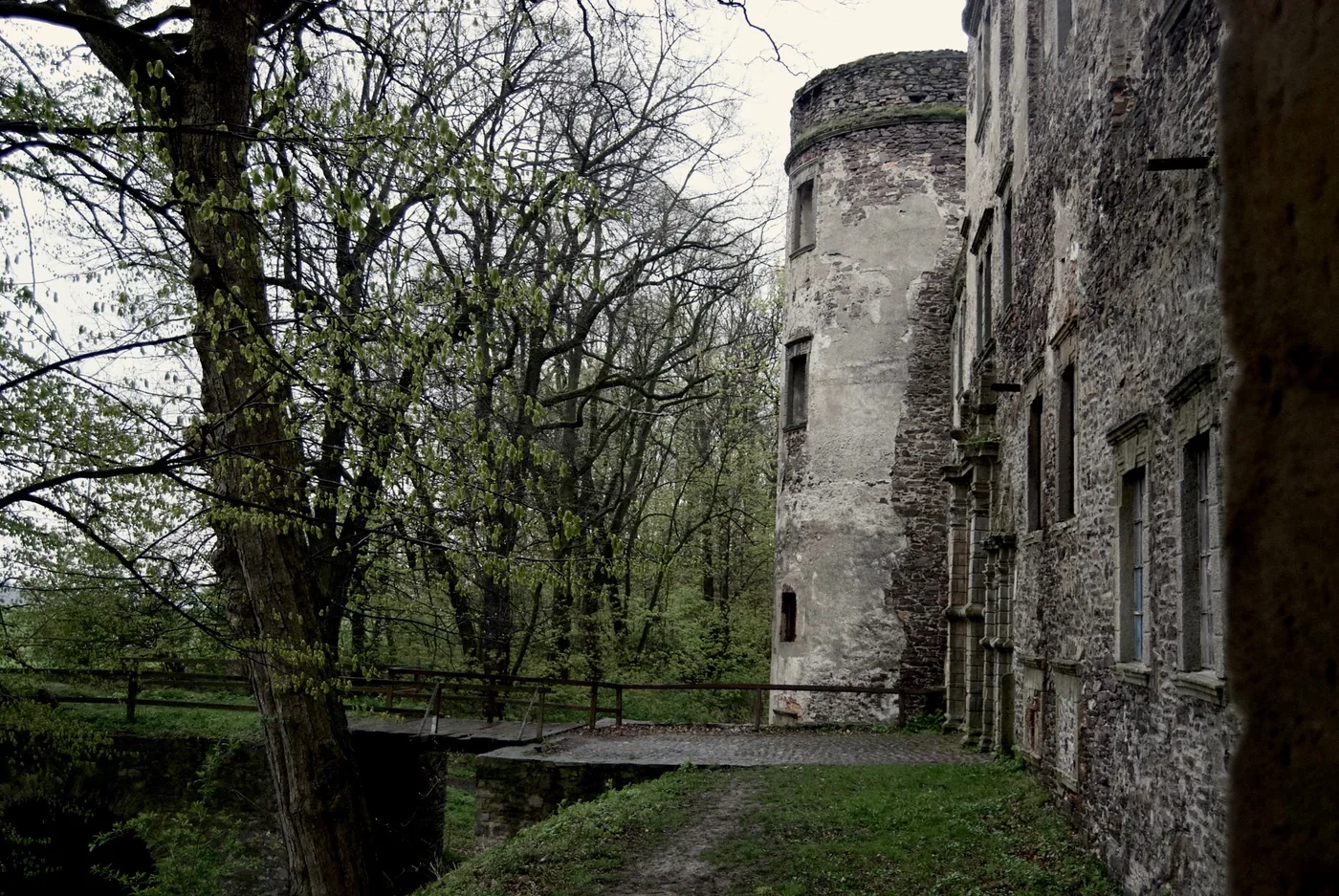 Miejsce 6 – Zamek Świny