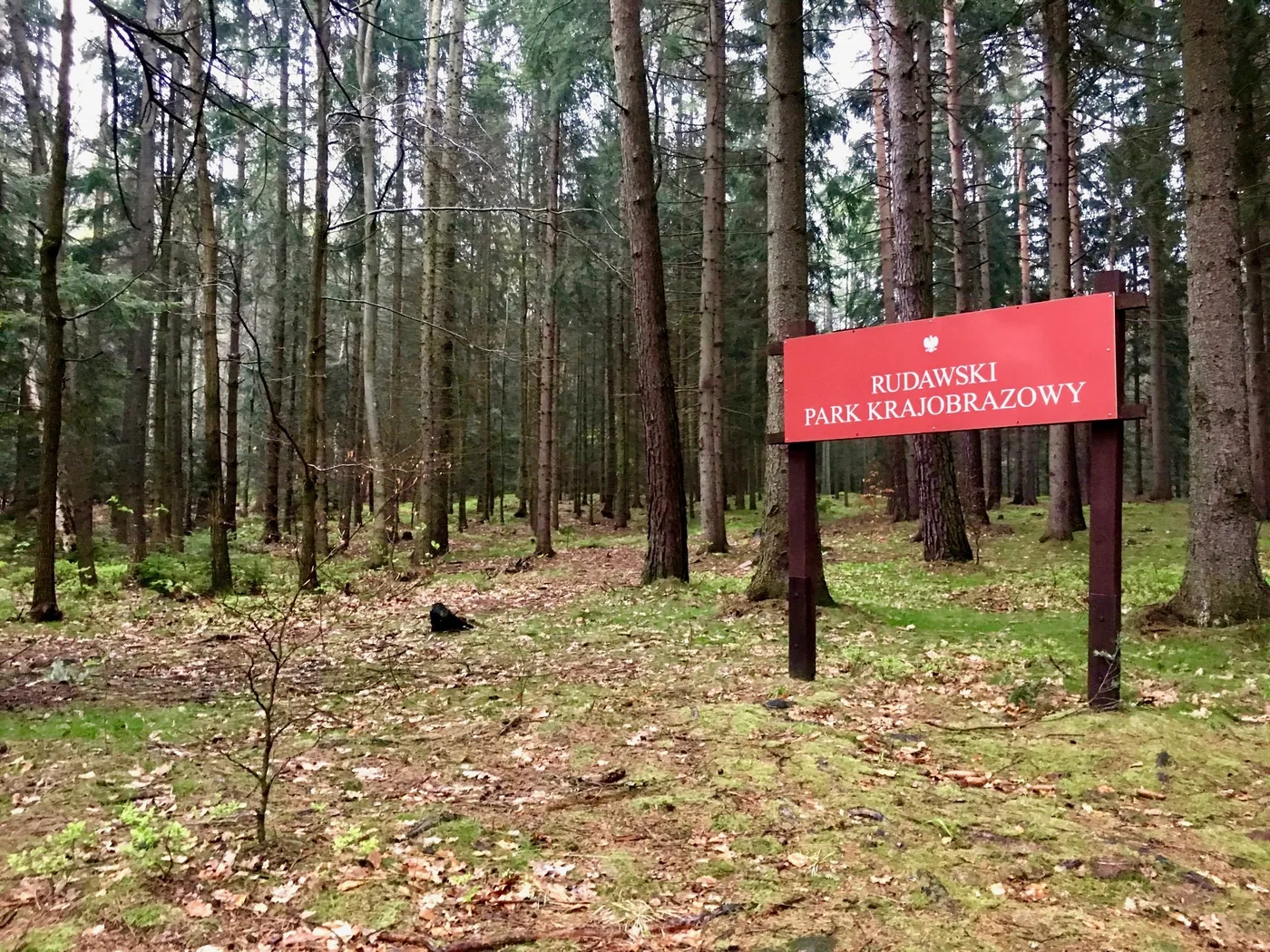 Miejsce 7 – Zamek Bolczów